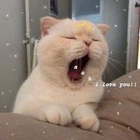 멜리 BOLITA De MASA⁷ 𖧵🐥✨💜 (@taetito2) 's Twitter Profile