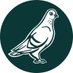 The Pigeon (@ThePigeon) Twitter profile photo