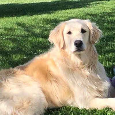 mskajordan's profile picture. Principal @ Holy Trinity Catholic School, Mom to 4 (tall) Boys, and inspired every single day by the people I work with.  ❤️ Education!