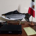 fred darby - @freddarby7 - Twitter