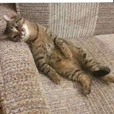 rubenal58228217's profile picture. 