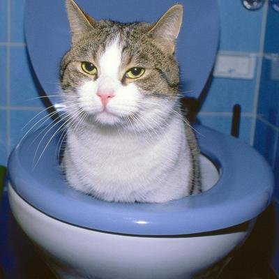 320x200's profile picture. https://t.co/Jcby0umjH5