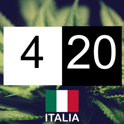 info e news sulla #cannabis #cannabislight #marijuana #ganja #cbd #thc in Italia 🇮🇹 🍁 💨 🔞 - Instagram 📷 https://t.co/cFqlXZbdyO - #legalizzala #legalizeit