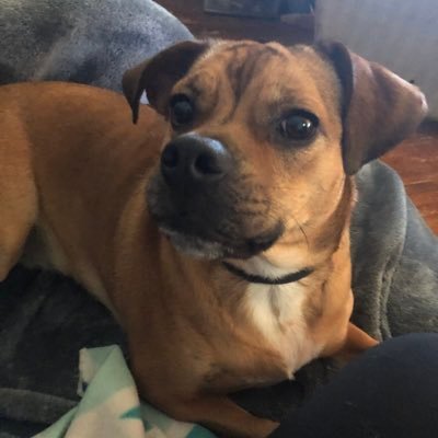 Chris_B2004's profile picture. 