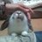 amarti_kimie's profile image