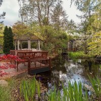 Klimaschutz kann nur von der Basis aus wachsen (@aktiondemograph) Twitter profile photo