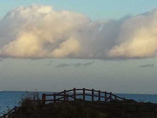 yskim525's profile picture. I have been trying to decide my choice. 더 늦기 전에 한번은 내 생각대로 해보기.