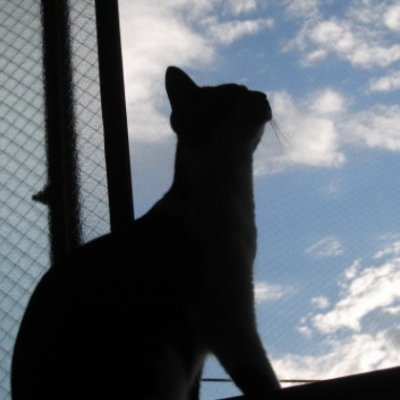 manekineko Profile