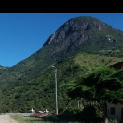 Nelascarojas's profile picture. 