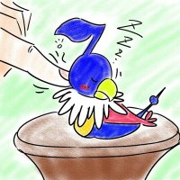 まろやか (@maroya_k) Twitter profile photo