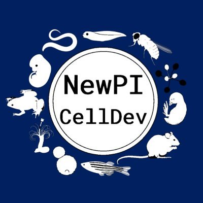 New PIs in Cell and Developmental Biology - a platform for e-seminars, collaboration and peer support. DM or email to join
newpicelldev@gmail.com  #NewPICellDev