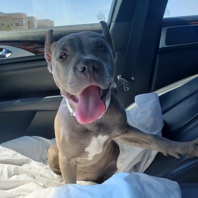 Wckd95's profile picture. 