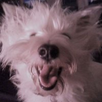 Misty Hughes (@misty_hughes_) 's Twitter Profile Photo Misty Hughes (@misty_hughes_) 's Twitter Profile Photo