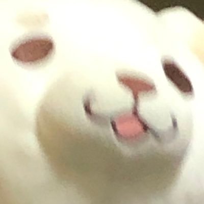 のほほーん3世 Lul4mzvofv77rzn Twitter のほほーん3世 Lul4mzvofv77rzn Twitter