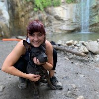 Monika Felice Smith (@monikafsmith) 's Twitter Profile