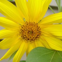 Positively Sunshine (@positivelysuns1) 's Twitter Profile Photo Positively Sunshine (@positivelysuns1) 's Twitter Profile Photo