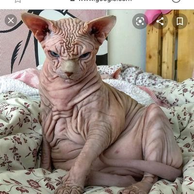 BexleyHarmony's profile picture. there's only one life live it