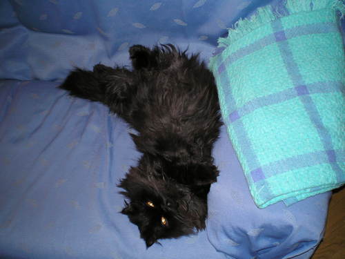 peterman172's profile picture. 