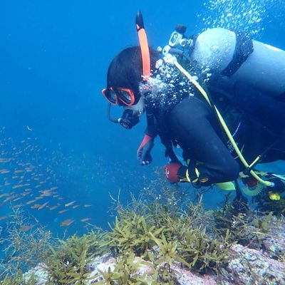 ホヤ博士です!ダイバーへ、研究者へ、そうじゃない方々へ、ホヤ情報を提供中! 広島修道大学人間環境学部/ 助教/ ホヤ研究歴8年目/ 系統分類学/ 進化学/ 数理生物学/ 生物情報学/ ホヤ図鑑を作るのが目標!