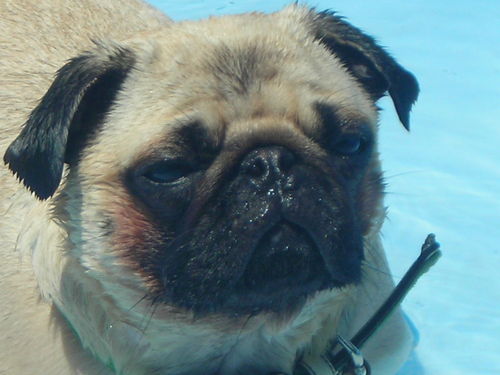 LindsEM's profile picture. I'm just a girl living in RVA