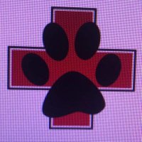 Lubbock Small Animal Emergency Clinic (@lubbocksaec) 's Twitter Profile