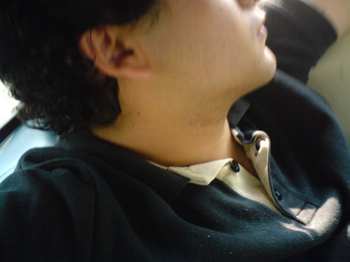 Chef l Profesional Gamer l I love music and ​​languages l