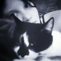 Avenger Kitty(@AvengerKitty) 's Twitter Profile Photo