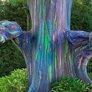 MauixMauricio's profile picture. 