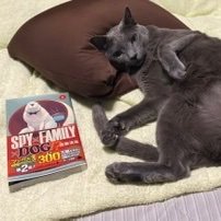 7PIFd3jgPzJv9Yo's profile picture. 