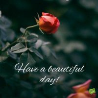 #Bekind (@bennettm0207) 's Twitter Profile
