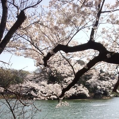ななつさんのプロフィール画像