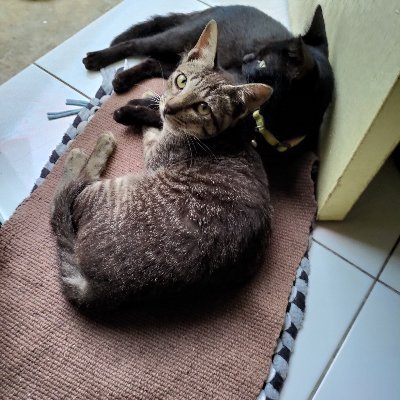 clarencechundan's profile picture. 