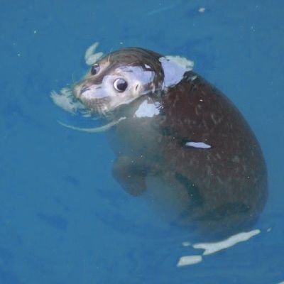 ⭐さんのプロフィール画像
