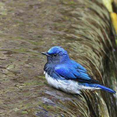 綺麗な写真を撮りたい