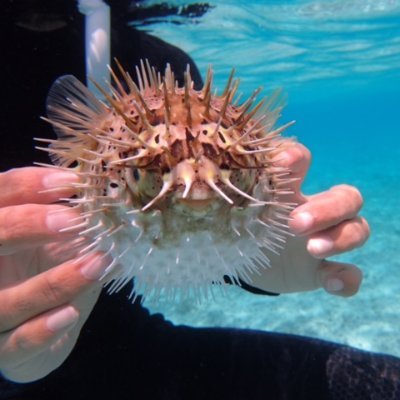 あつまれ海中生物の森 水中ならガラスをハサミで切る 空中と切ろうとすると簡単に割れちゃうのは 当然想像できますが ガラスを水中で切るとどうなるでしょう 以外と想像できないですよね 粉々に砕ける 削れるように切れる 真っ二つに あつまれ海中生物の森 水中ならガラスをハサミで切る 空中と切ろうとすると簡単に割れちゃうのは 当然想像できますが ガラスを水中で切るとどうなるでしょう 以外と想像できないですよね 粉々に砕ける 削れるように切れる 真っ二つに