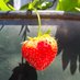 Caldicotts Nursery (@pyosolihull) Twitter profile photo Caldicotts Nursery (@pyosolihull) Twitter profile photo