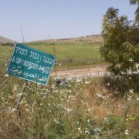 Sarit Zehavi Alma (@zehavialma) 's Twitter Profile