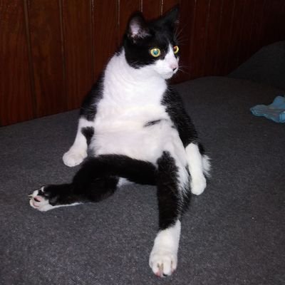 reveron_lopez's profile picture. 