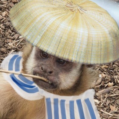 ベース弾きだけどSTとVシェイプのギターが大好き♪LemmyとCliffは永遠のカリスマ/洋楽メタルライブ参戦/関東在住カープファン/VN5 A型蒼