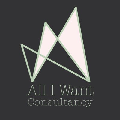 All I Want provides tailored consultancy for artists and bands