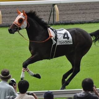 中央競馬のレース全部見ます🏇予想ファクターは血統のみ☹️新馬戦は全レース予想します😎2023-24年度新馬戦◎単勝回収率101%😃予想順◎○▲⭐︎△×、評価順SS→S→A→B→C→D どなたでもフォローどうぞ☺️🔥キルシュワッサー22🔥