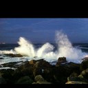 anthony levy - @alon_inthecape - Twitter