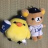 watashinao_base's profile picture. プロ野球(ライオンズ🦁ベイスターズ🌟)が好き⚾
特に栗山選手、愛斗選手のファンです！
(チームが変わっても応援！)
今年は新しくユニフォームを買う予感...
今年もベルドでたくさん応援したい！