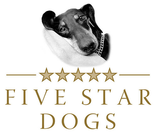 fivestardogsBIO's profile picture. Hunde begleiten mich seit der Kindheit durchs Leben. Ob Collie, Berner Senner, Schäferhund oder Dackel –  im Hause Hennemann gehörten Hunde einfach dazu.