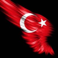 murat Yılmaz(@SedaYlm17125174) 's Twitter Profile Photo