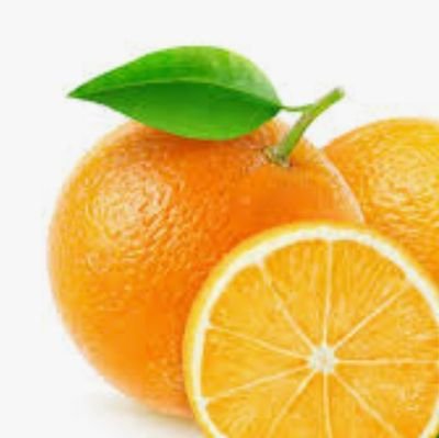 ebXXNTHn2GtsZKa's profile picture. 