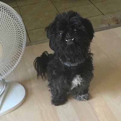 Getsoffthebus's profile picture. You are what you eat. I don’t remember eating back problems and anxiety, but okay 🤦‍♀️