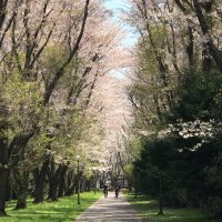. (@itf_taka) 's Twitter Profile