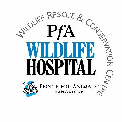 We are an NGO working for Bangalore's Urban Wildlife. We rescue, treat, care for and rehabilitate urban wild animals and release them back in the wild.