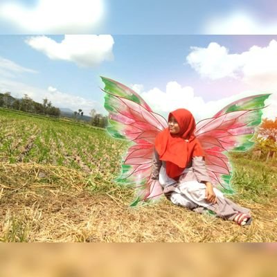 SedeyaAnis's profile picture. teacher